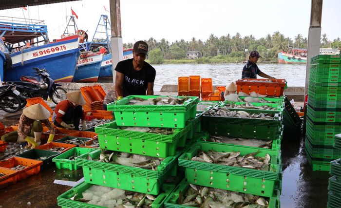 Bốc dỡ hàng thủy sản tại cảng cá Tắc Cậu.