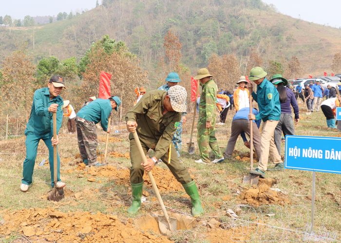 Xã Mường Ảng huy động tối đa lực lượng tham gia đào hố trồng cà phê, mắc ca nhằm đảm bảo tiến độ theo kế hoạch.
