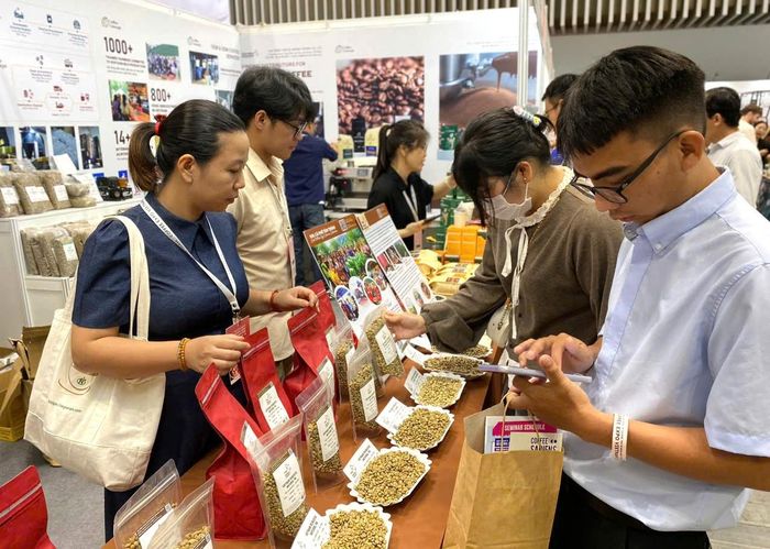 Sản xuất theo tiêu chuẩn bền vững, hạt cà phê nhân xanh trong tỉnh đã, đang mở rộng thị trường xuất khẩu đến nhiều châu lục