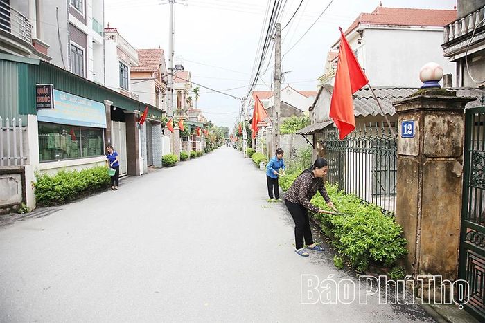 Phụ nữ khu dân cư Chùa, xã Tam Hồng chăm sóc, cắt tỉa hàng rào xanh, góp phần xây dựng cảnh quan môi trường xanh - sạch - đẹp.