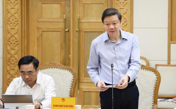  Cục trưởng Cục Lâm nghiệp và Kiểm lâm (Bộ NN&amp;MT) Trần Quang Bảo báo cáo tại cuộc họp. Nguồn: VGP. 