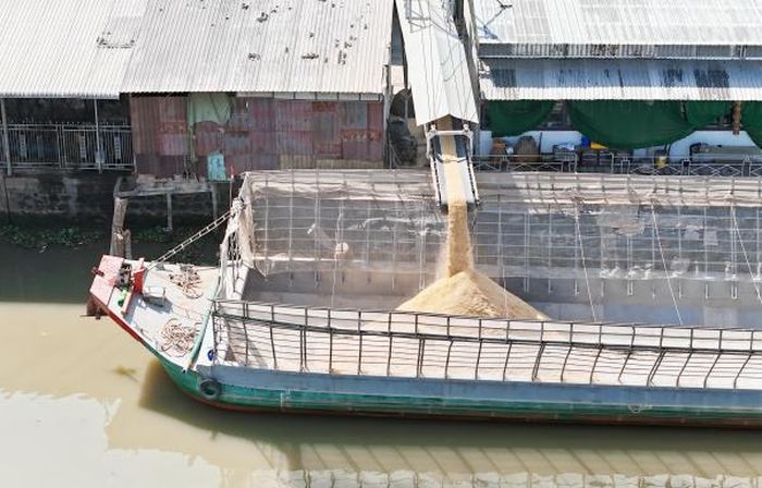 Hệ thống truyền tải lúa, trấu lộ thiên, không được che chắn của nhà máy Thành Tâm Cờ Đỏ, cũng như các nhà máy xung quanh đã khiến bụi phát tán, ô nhiễm môi trường, ảnh hưởng sức khỏe người dân.