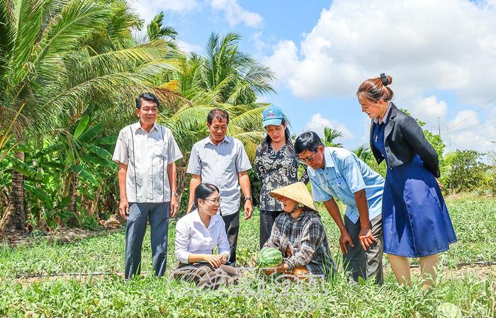 Lãnh đạo địa phương và người có uy tín trong đồng bào dân tộc xã Hòa Bình tham quan mô hình hỗ trợ sinh kế trồng dưa của hộ bà Danh Thị Hà, ấp Thị Trấn A1.