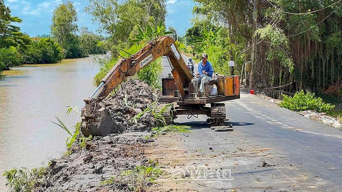 Xã Hưng Hội triển khai đóng cừ tràm tại các điểm sạt lở, huy động phương tiện cơ giới để bồi đắp, gia cố các đoạn sạt lở đã ăn sâu vào chân lộ.