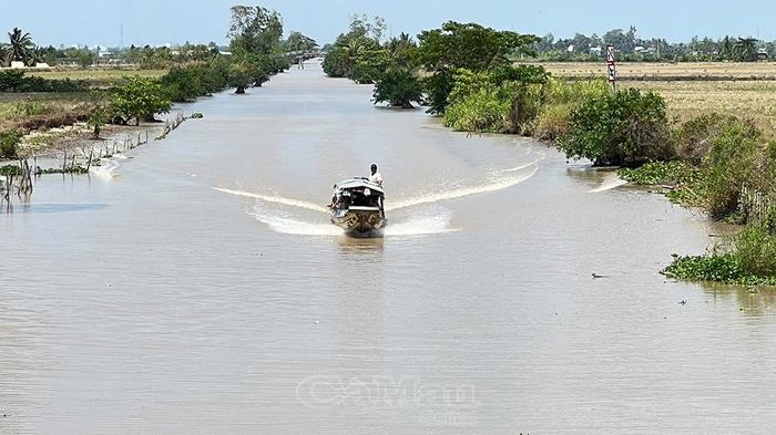 Các chuyến tàu đò hoạt động liên tục được cho là một trong những nguyên nhân khiến bờ sông bị xói lở nghiêm trọng.