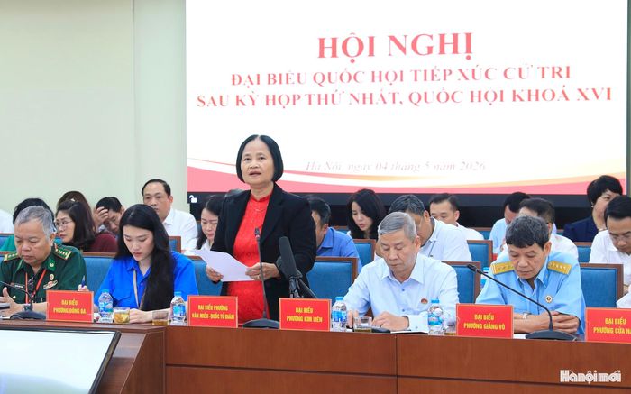 Cử tri phường Văn Miếu - Quốc Tử Giám phát biểu ý kiến.