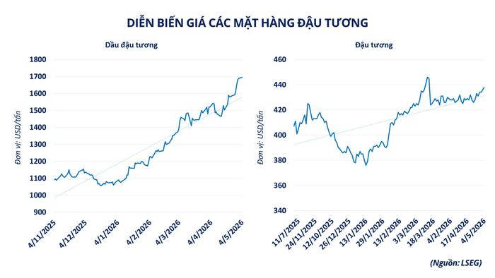 Diễn biến giá các mặt hàng đậu tương. Nguồn: MXV