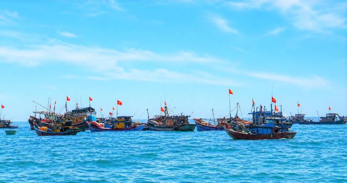 Tàu thuyền của ngư dân neo đậu ngoài biển. Ảnh: TT.