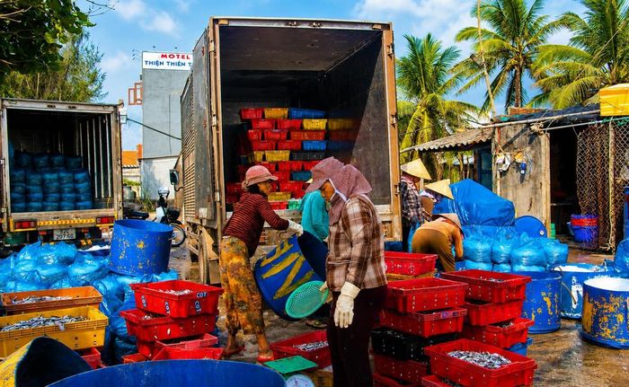 Xe đông lạnh vận chuyển hải sản đi tiêu thụ. Ảnh: CĐ.