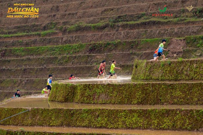  Những thửa ruộng bậc thang cao từ 1,5-1,8 m. Ảnh: BTC cung cấp. 
