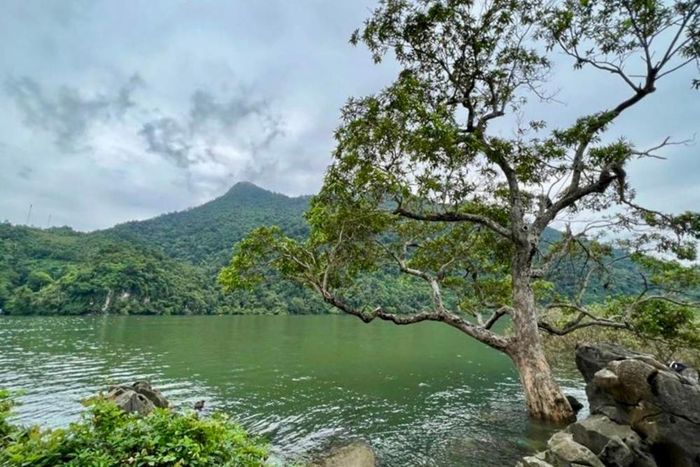 Khung cảnh ở hồ Ba Bể hiện vẫn còn hoang sơ và được nhiều khách du lịch tìm đến trải nghiệm, khám phá