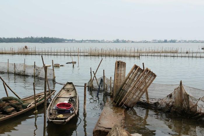 Cảnh hoang sơ, bình yên trên phá Tam Giang đoạn gần cửa biển Thuận An, thành phố Huế. Ảnh: Nguyên Lý - TTXVN