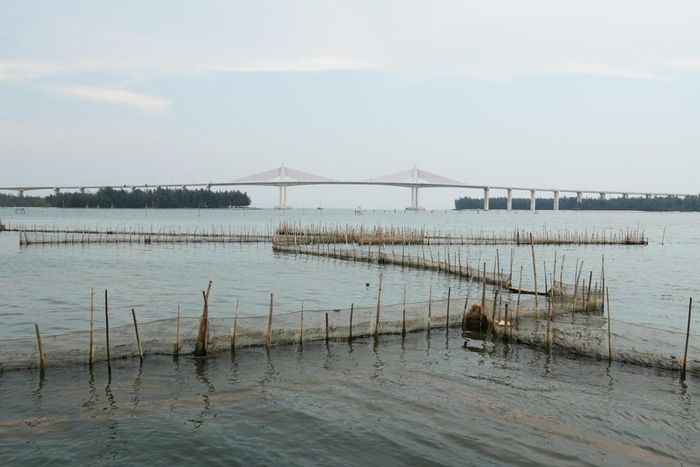 Cảnh hoang sơ, bình yên trên phá Tam Giang đoạn gần cửa biển Thuận An, thành phố Huế. Ảnh: Nguyên Lý - TTXVN