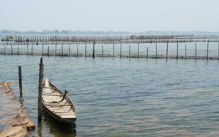 Cảnh hoang sơ, bình yên trên phá Tam Giang đoạn gần cửa biển Thuận An, thành phố Huế. Ảnh: Nguyên Lý - TTXVN