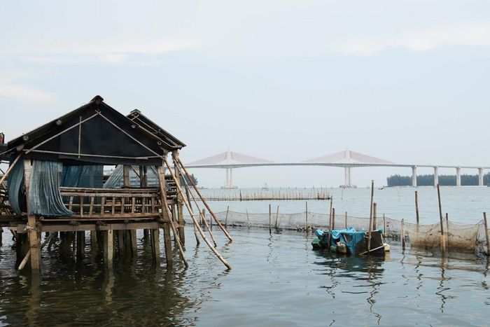 Cảnh hoang sơ, bình yên trên phá Tam Giang hòa quyện cùng vẻ đẹp hiện đại cầu vượt cửa biển Thuận An, thành phố Huế. Ảnh: Nguyên Lý - TTXVN