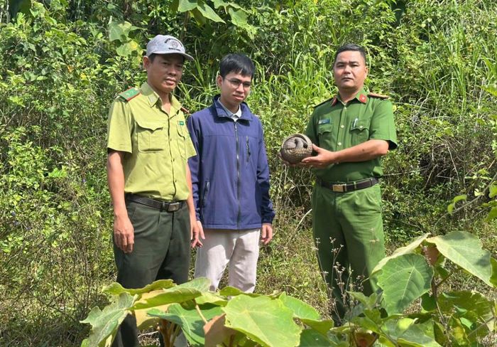 Các lực lượng chức năng đã tổ chức thả cá thể tê-tê về môi trường tự nhiên.