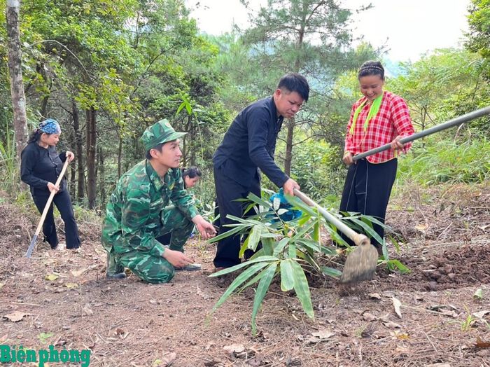 Đồn Biên phòng Ba Sơn, Bộ đội Biên phòng tỉnh Lạng Sơn hướng dẫn nhân dân chăm sóc, triển khai mô hình “Lũy tre biên giới Việt”. Ảnh: Vy Thượng