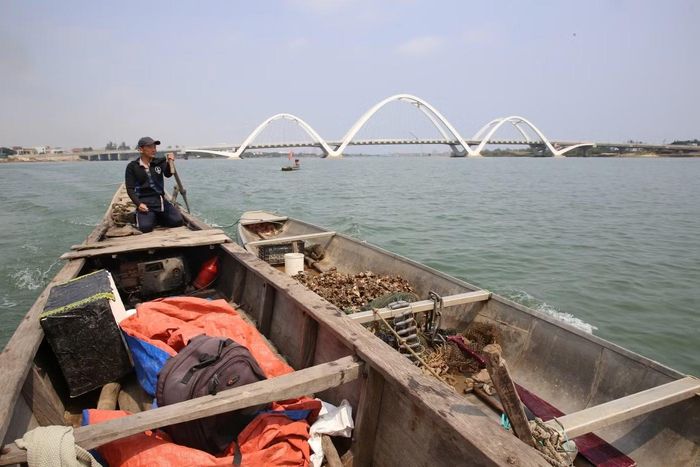 Một buổi sáng đầu tháng 5, chúng tôi theo chân ông Lê Đại Châu (55 tuổi), người có hơn 30 năm lặn hàu, rời bến sông ở thôn Bình Minh. Chiếc thuyền nhỏ chạy chừng 20 phút thì dừng lại phía trên cầu Nhật Lệ 3, nơi dòng sông rộng mở, đáy có nhiều ghềnh đá - “mỏ hàu” tự nhiên của người dân Quán Hàu.