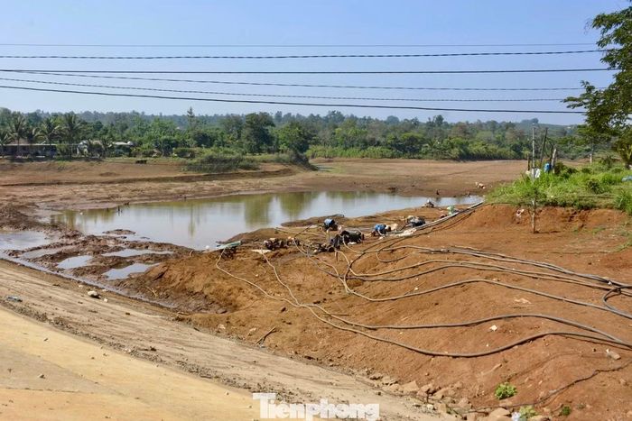 Hồ 40 cạn trơ đáy.