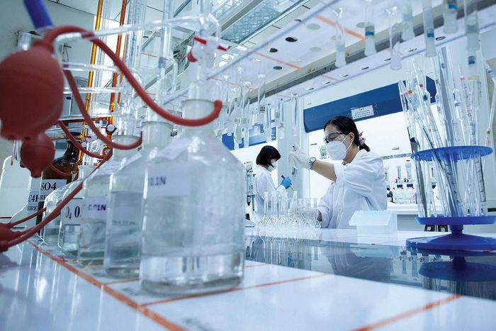 PVCFC mở rộng sang khí công nghiệp, hóa chất, công nghệ sinh học, chế biến nông sản, hướng tới hệ sinh thái giá trị