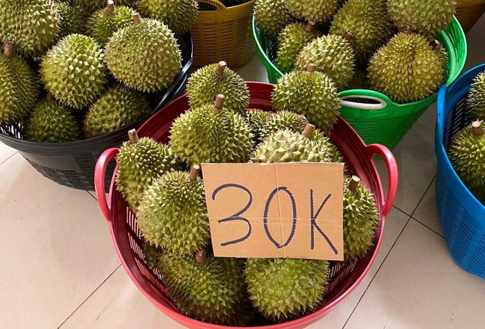 Có nơi giá sầu riêng chỉ ở mức 30.000 đồng đã được chủ vườn “ bao ăn”