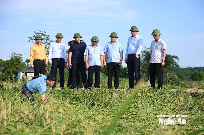 Đoàn công tác kiểm tra thiệt hại hoa màu do thiên tai tại xã Mậu Thạch. Ảnh: Thành Cường