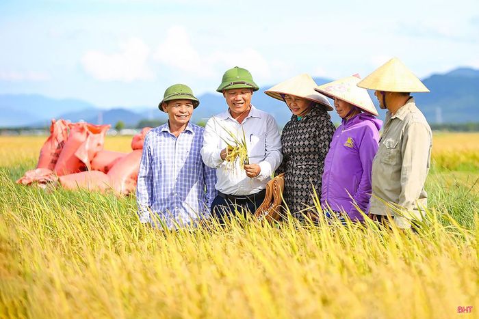  Diện tích hoàn thành việc thực hiện tích tụ, tập trung ruộng đất trên thực địa đạt hơn 14.100 ha tại 49/69 xã, phường; hình thành nhiều cánh đồng quy mô từ 20-60 ha với hệ thống hạ tầng tương đối đồng bộ. 