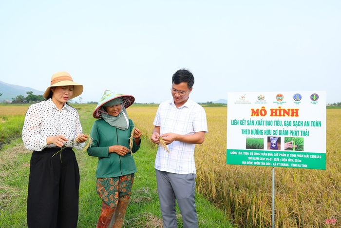 Công ty Nông nghiệp Xanh Hà Tĩnh (xã Kỳ Khang) triển khai mô hình sản xuất lúa theo hình thức tích tụ ruộng đất, duy trì 5 vụ liên kết với quy mô 20-25 ha/vụ, áp dụng đồng bộ một quy trình, một giống, đạt sản lượng khoảng 150 tấn/vụ.