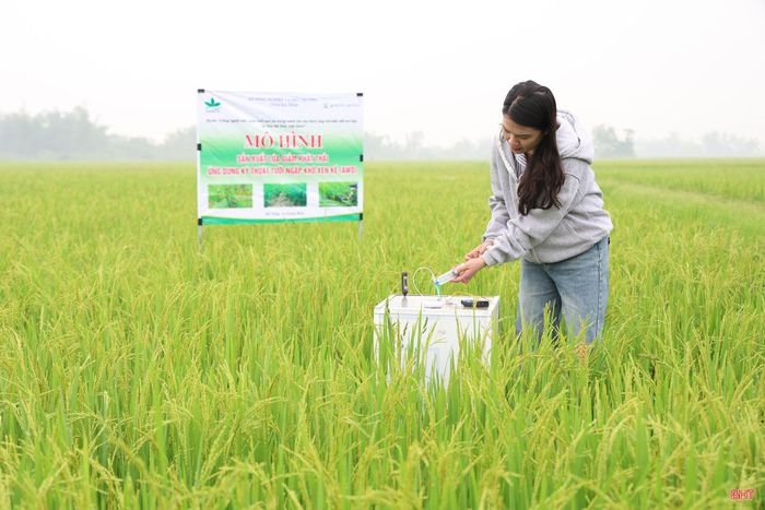 Các mô hình sản xuất tiếp tục được khuyến khích triển khai đạt tiêu chuẩn VietGAP, hữu cơ, an toàn sinh học; ứng dụng quản lý dịch hại tổng hợp (IPM), quản lý sức khỏe cây trồng tổng hợp (IPHM), canh tác giảm phát thải, canh tác tuần hoàn.
