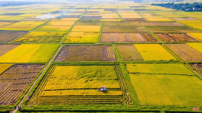 Ngày 17/11/2021, BCH Đảng bộ tỉnh ban hành Nghị quyết số 06-NQ/TU về lãnh đạo, chỉ đạo thực hiện tập trung, tích tụ ruộng đất gắn với xây dựng NTM giai đoạn 2021-2025 và những năm tiếp theo được xem như “kim chỉ nam” về không gian tổ chức sản xuất.