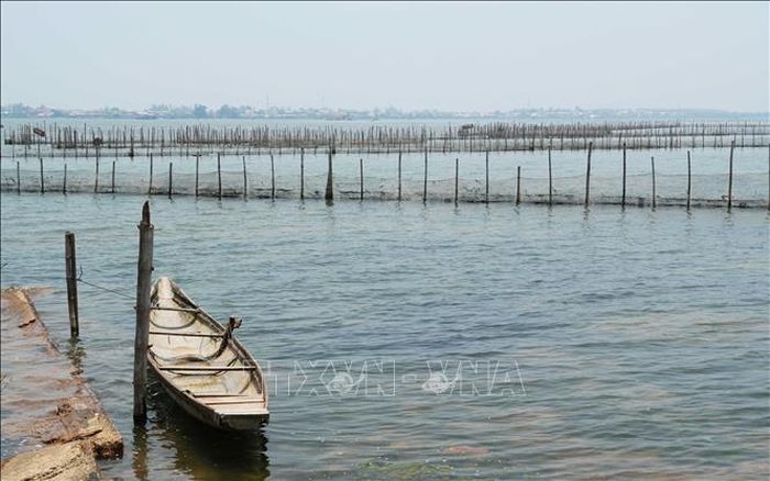 Cảnh bình yên, hoang sơ trên phá Tam Giang đoạn gần cửa biển Thuận An, thành phố Huế.