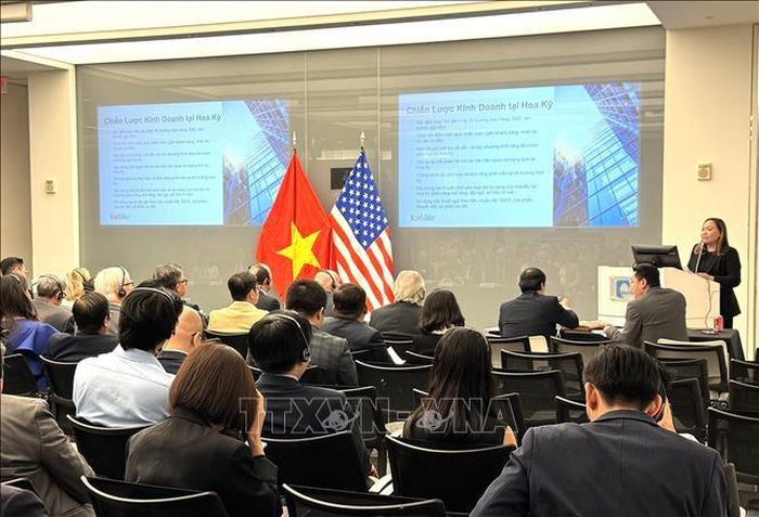 Bà Mai Phan Zymaris, Trưởng nhóm Việt Nam thuộc Công ty luật Ice Miller phát biểu. Ảnh: Đoàn Hùng/Pv TTXVN tại Mỹ