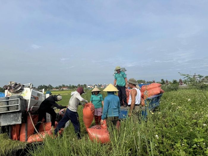 Máy gặt được ưu tiên điều động hỗ trợ người dân.