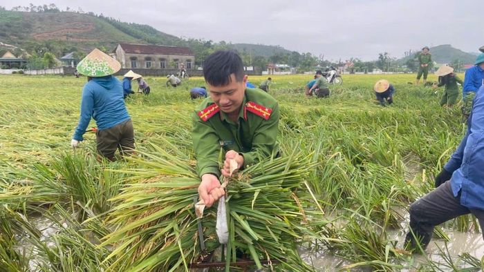 Các chiến sĩ công an khẩn trương “giữ mùa” cho dân.