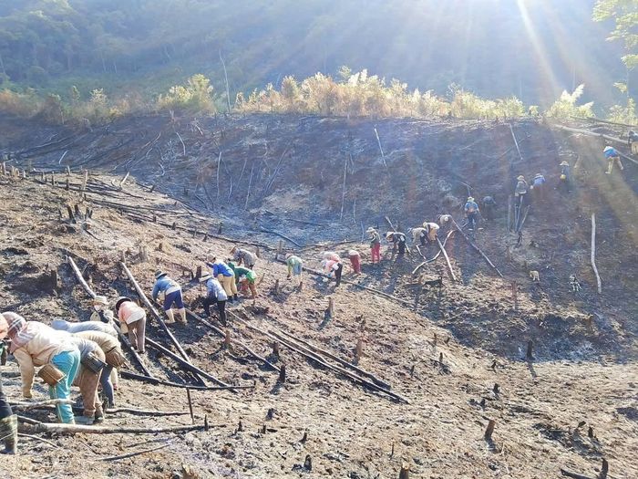 Dù nắng nóng gay gắt nhưng chị em vẫn tham gia phát rẫy hỗ trợ gia đình khó khăn. Ảnh: MẾN NGUYỄN
