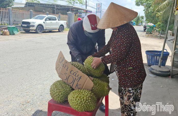 Một điểm bán sầu riêng Ri 6 dạt với giá từ 25.000 - 30.000 đồng/kg ven tuyến đường tỉnh 864.