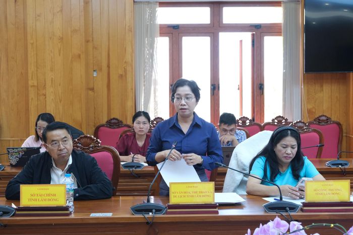 Đại diện lãnh đạo Sở Văn hóa, Thể thao và Du lịch nêu ý kiến tại cuộc họp