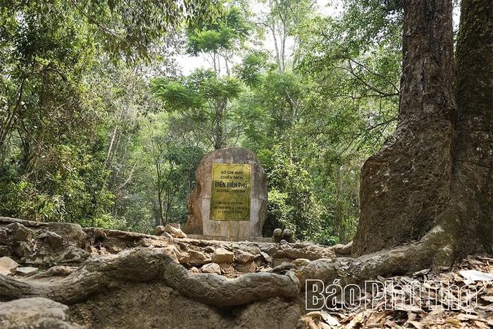 Ẩn mình dưới tán rừng nguyên sinh, Sở Chỉ huy chiến dịch là nơi Đại tướng Võ Nguyên Giáp cùng Bộ Chỉ huy đưa ra những quyết định mang tính bước ngoặt. Từ đây, những mệnh lệnh chiến lược được truyền đi, góp phần làm nên chiến thắng cuối cùng.