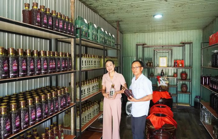 Dự án “Sử dụng chuối mật mốc chín và men lá A Dơi để sản xuất rượu chuối” đã được phát triển thành sản phẩm “Rượu Làng Hào”, đạt chứng nhận OCOP 3 sao - Ảnh: P.P