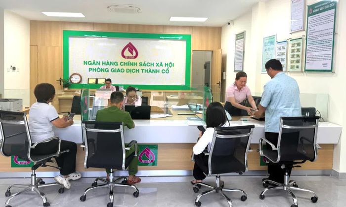 Cán bộ tín dụng Ngân hàng Chính sách xã hội Phòng giao dịch Thành Cổ giải ngân cho khách hàng vay vốn theo Quyết định 08/2026/QĐ-TTg - Ảnh: M.L