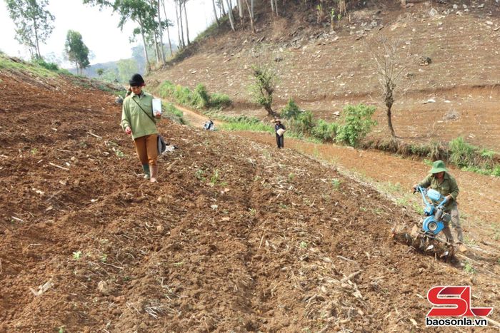 Nhân dân bản Nà Hường, xã Tà Hộc áp dụng cơ giới hóa trong khâu làm đất.