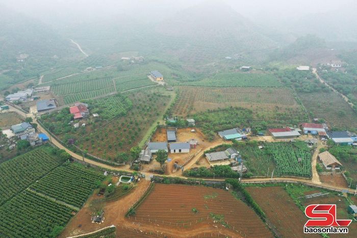 Một góc khu sản xuất nông nghiệp của nhân dân bản Chiềng Đi 1.