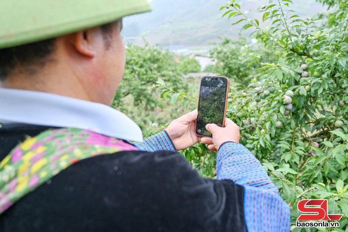 Người dân đăng những sản phẩm nông sản lên mạng để bán hàng.