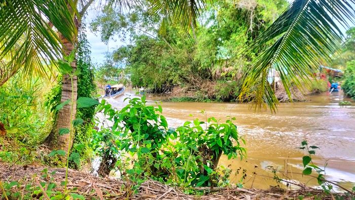 Đoạn đường cong gần vị trí chiếc thuyền bị lật úp hôm 2/5.