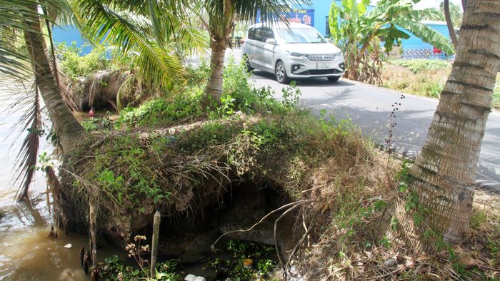 Nhiều vị trí dọc theo tuyến sạt lở gây hở hàm ếch, nguy cơ đe dọa trực tiếp đến tuyến đường bê tông hiện hữu.