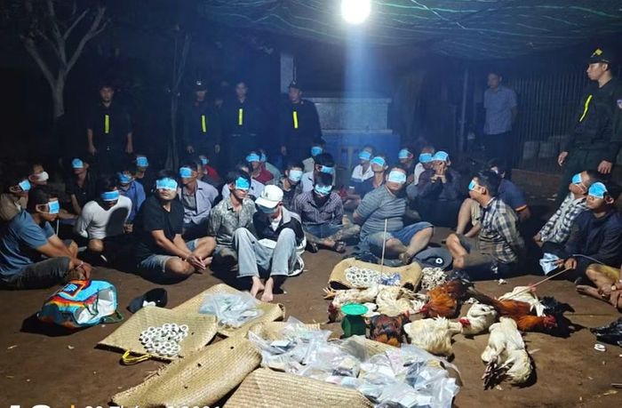 Phòng Cảnh sát hình sự chủ trì, phối hợp Cảnh sát cơ động triệt phá tụ điểm cờ bạc trên địa bàn xã Ba Tri.