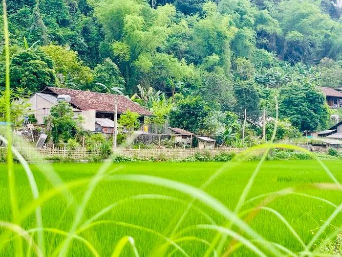 Làng nhà sàn Bản Cám, bên Hồ Ba Bể.