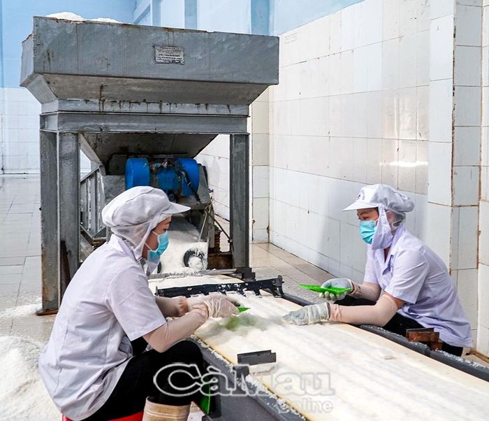 Dây chuyền sản xuất tự động đã được các doanh nghiệp ứng dụng để nâng cao hiệu quả, giải phóng sức lao động cho công nhân.