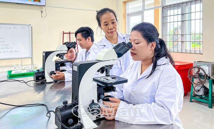  Sinh viên Trường Cao đẳng Kinh tế - Kỹ thuật Bạc Liêu thực hành chuyên môn, góp phần nâng cao chất lượng đào tạo nguồn nhân lực của tỉnh.