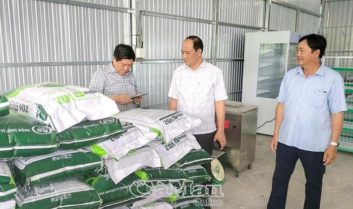 Phó Chủ tịch UBND tỉnh Lê Văn Sử kiểm tra mã vạch truy xuất nguồn gốc phân bón cho cây bồn bồn tại HTX An Hòa, xã Khánh An.